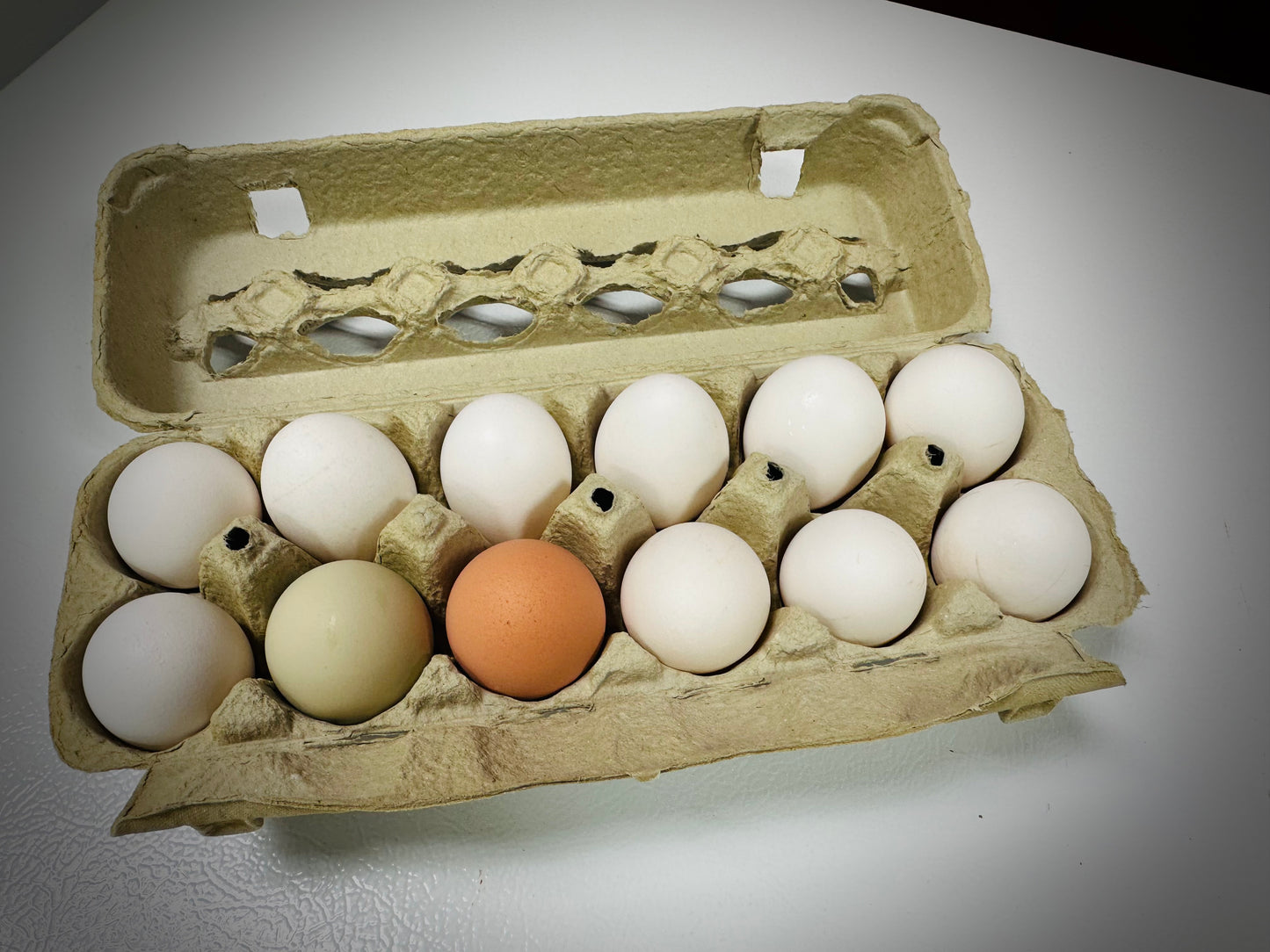 Farm Fresh Eggs